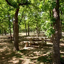 Osage Hills State Park visit photo 5