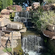 Myriad Botanical Gardens visit photo 1
