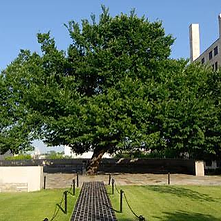 Oklahoma City National Memorial visit photo 5
