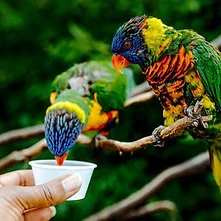 Oklahoma City Zoo visit photo 1