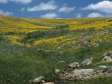 Wichita Mountains Wildlife Refuge in Lawton, Oklahoma