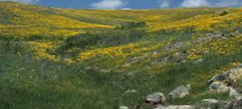 Wichita Mountains Wildlife Refuge in Lawton, Oklahoma