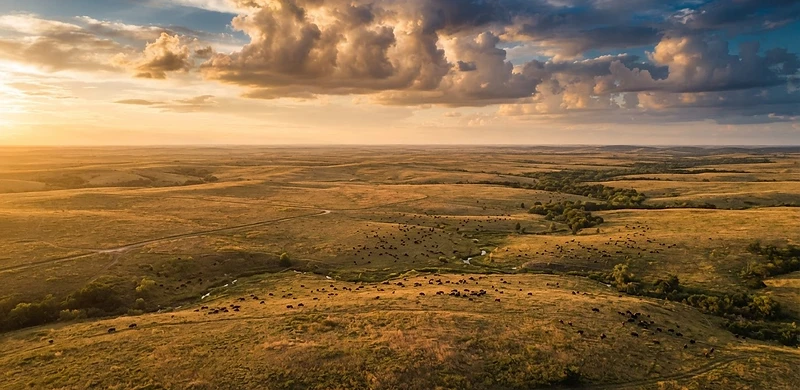 Oklahoma tallgrass prairie at golden hour