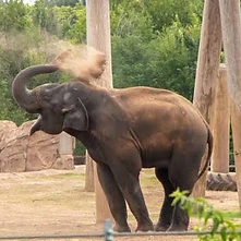 Oklahoma City Zoo visit photo 2