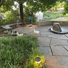 Myriad Botanical Gardens visit photo 6