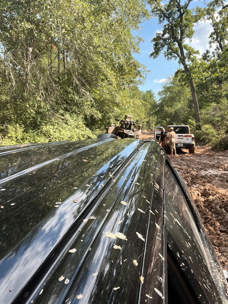 Daily Driven Trucks