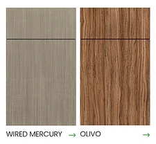Wired Mercury · Olivo
