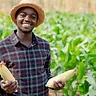 13 October '26 - Today in Farming