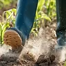 16 October '26 - Today in Farming