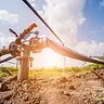 02 October '26 - Today in Farming