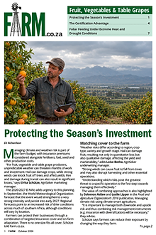 Fruit, Vegetables & Table Grapes Feature – October 2026