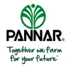 Pannar