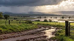 Building a Resilient Farm Part 1: Preparing for Heavy Rain and Flooding