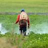 07 October '26 - Today in Farming