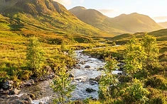 £1.3m restoration fund set to recover wildfire-ravaged Cairngorms