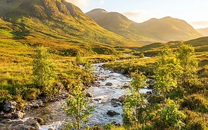 £1.3m restoration fund set to recover wildfire-ravaged Cairngorms