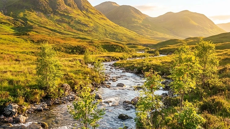 £1.3m restoration fund set to recover wildfire-ravaged Cairngorms