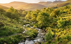 Nature Service for Wales secures more than £460,000 in lottery funding