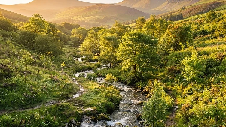 Nature Service for Wales secures more than £460,000 in lottery funding