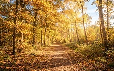 Embracing the Season: Kent’s Autumn Trails Offer Nature Connection