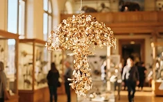 Nature’s Hidden Rhythm: Exeter Exhibition Harmonises Science and Art Through Fungi