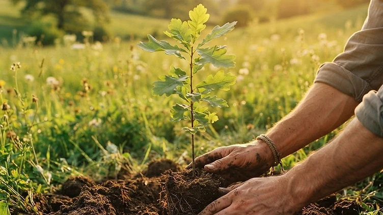 ROOTS OF RESILIENCE: £79 MILLION BOOST FOR LOCAL NATURE RECOVERY