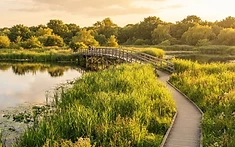 Major update in plans for new bridge at Nottinghamshire nature reserve after three-year closure