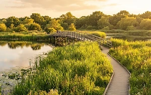 Major update in plans for new bridge at Nottinghamshire nature reserve after three-year closure