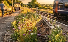 Volunteer Group’s Wildlife-Friendly Efforts at Village Rail Station Recognised