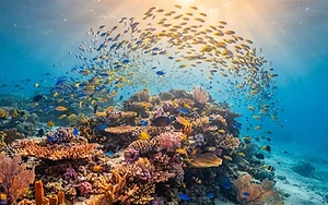 Blue Planet III features cloudier footage to prove authenticity amid AI boom