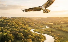 A Rare Return to the River Wye
