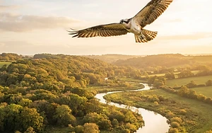 A Rare Return to the River Wye