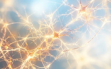 Pioneering Brain Research Wins 2026 Nobel Prize in Medicine