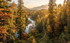 KENT’S GLOBAL TREE SANCTUARY CELEBRATES CENTURY OF CONSERVATION