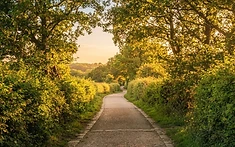 Volunteers clear overgrown Sparrow Lane footpath in community clean-up effort