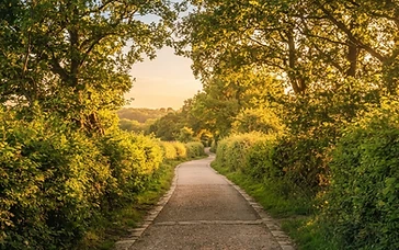 Volunteers clear overgrown Sparrow Lane footpath in community clean-up effort