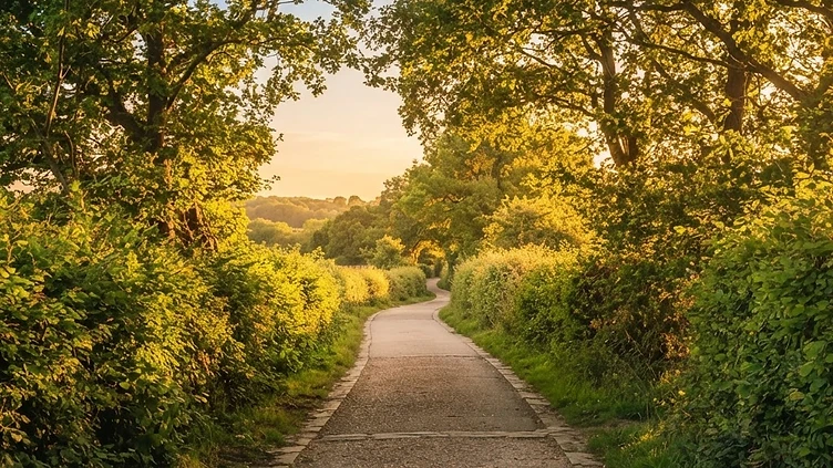 Volunteers clear overgrown Sparrow Lane footpath in community clean-up effort