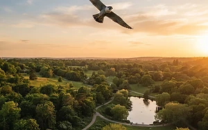 Knutsford Bird Park Flies to the Top of Local Rankings