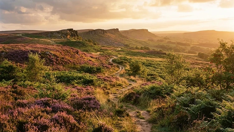 Peak District Moorland Gifted to Wildlife Trust Unlocks Vast Thousand-Acre Nature Corridor