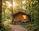 Community sauna eyes up new site in Waltham Forest park