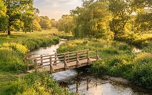 A NATURAL REVIVAL FOR BARNES GREEN