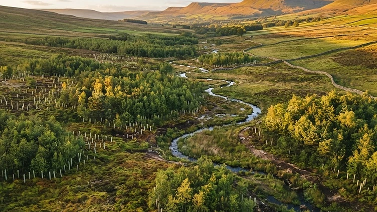 Northern Powerhouse of Nature: Massive Habitat Restoration Project Transforms North West Landscapes