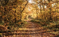 A Scenic Autumn Escape to Alderley Edge