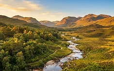 HEALING THE HIGHLANDS: CAIRNGORMS RECEIVE MAJOR RESTORATION BOOST