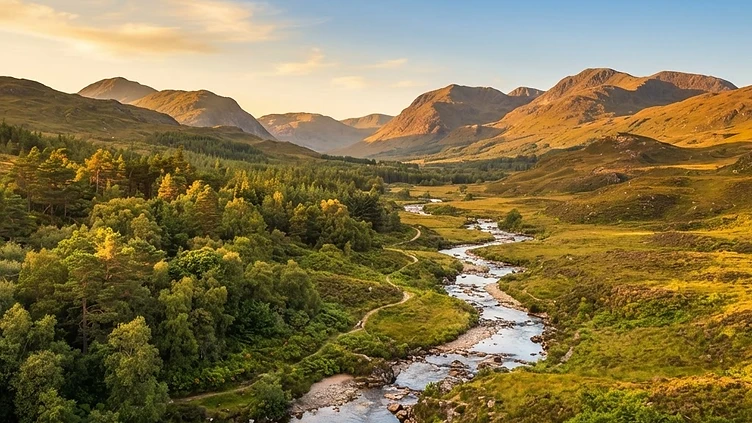 HEALING THE HIGHLANDS: CAIRNGORMS RECEIVE MAJOR RESTORATION BOOST