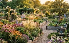 A Blooming Legacy: RHS Chelsea Gold Medal Plants Find New Home in Widnes