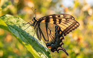 NEW FRONTIERS IN CONSERVATION: UK AGENCY FUNDS BIOTECH BREAKTHROUGHS FOR WILDLIFE