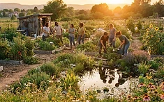 Green Grants Empower Midlands Communities to Restore Nature