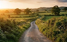 'Pub to Pub' fundraising walk between Tarporley and Malpas lands Bear Inns award