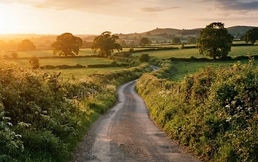 'Pub to Pub' fundraising walk between Tarporley and Malpas lands Bear Inns award